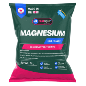 Magnesium Sulphate