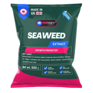 Seaweed Extract