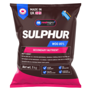 Sulphur WDG 80